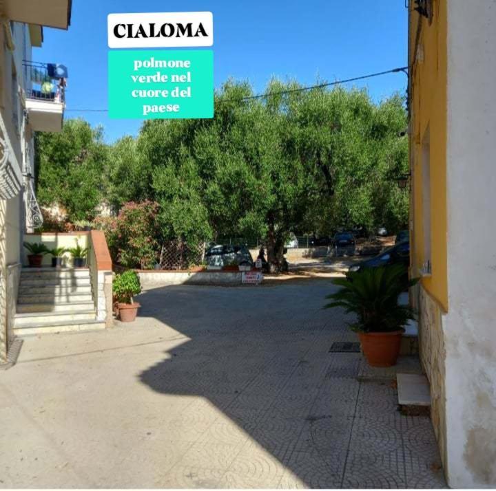 Cialoma Full Green Marina di Camerota Rum bild