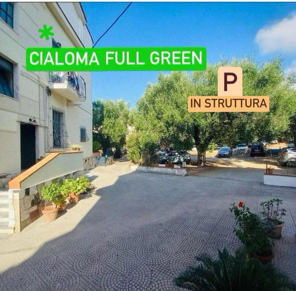 Cialoma Full Green Marina di Camerota Exteriör bild